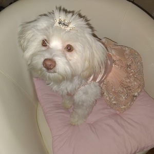 Fundraising Page: Ashley Marini